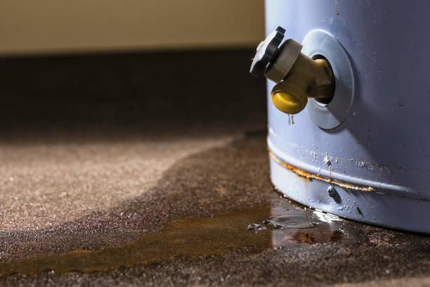 Best Flood restoration services  in West Allis, WI