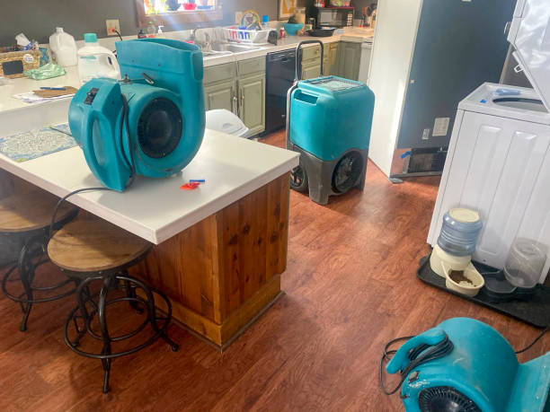 Best Water damage restoration near me  in West Allis, WI